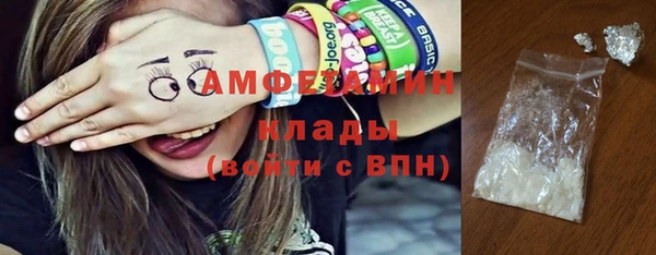 гашик Дмитров