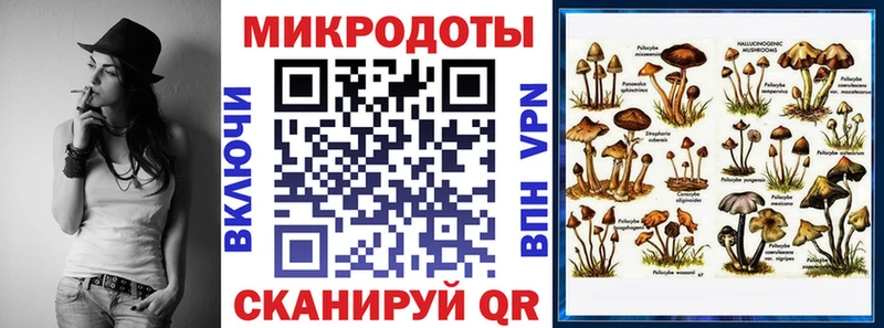 купить  цена  Южноуральск  Галлюциногенные грибы MAGIC MUSHROOMS 